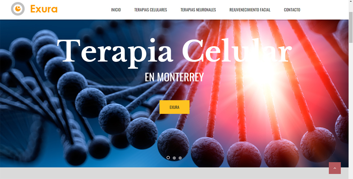 Diseño web Monterrey