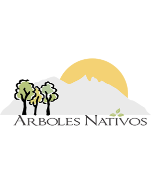 Diseño de logotipos